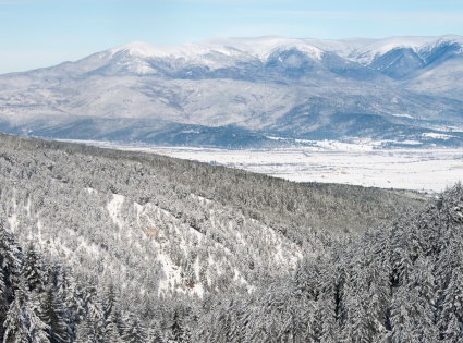 Снежная Болгария