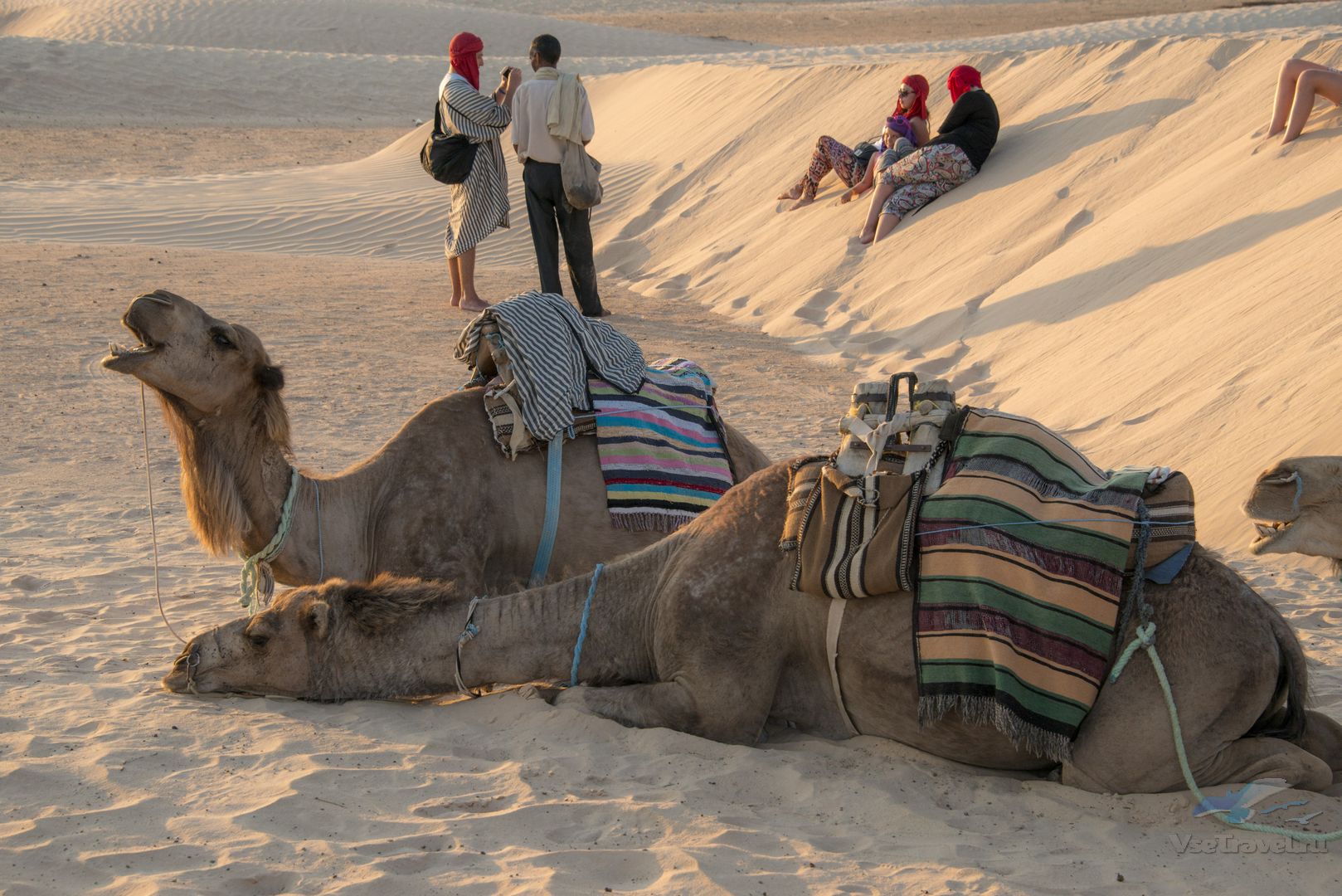 Караван отдых. Путешествие на верблюдах. Человек на верблюде. Верблюд отдыхает. Караван в пустыне отдыхает.