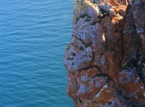 Красное в синем
