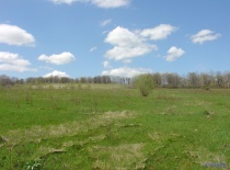 Панорама Богатырской поляны