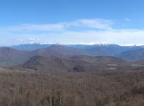 Панорама Цербелевых полян