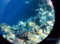 Снимая море