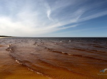 Торфяного (янтарного) цвета Балтийское море