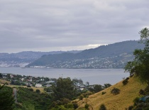 Данедин (Dunedin)