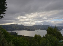 Данедин (Dunedin)