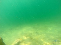 Прозрачная вода солёного озера Сехар