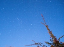 Звёзды острова Пасхи