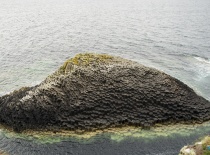 На фотографии изображен черный скалистый остров, окруженный водой. Вероятно, это одно из природных о
