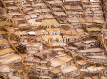 На фотографии изображены террасы соляных шахт в районе Марас, Перу. Эти уникальные соляные поля пред
