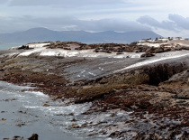 Скалистые берега с морской растительностью и спокойной водой. Это место, ве