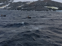 На фотографии видно море с небольшими волнами и гористый берег, покрытый снегом. Вероятно, это место