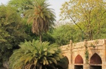 дели,нью дели,индия, Кутуб-Минар, парк Лоди, Lodhi, Delhi, Красный форт, триумфальная арка,президентский дворец